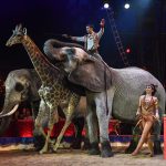 Richter Jzsef s Marrylu 5